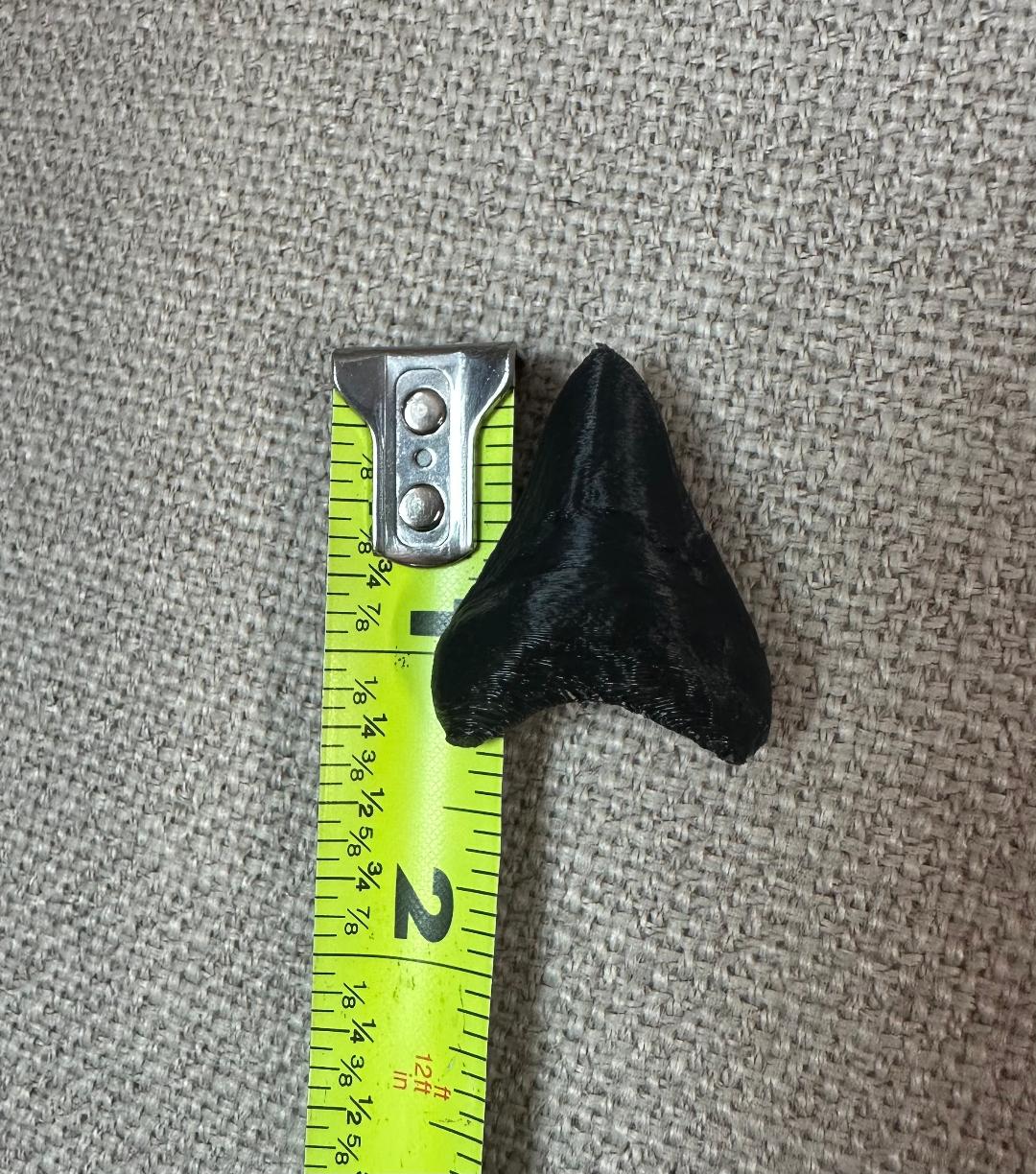 3D Printed Shark Teeth and Sark Fin Jibbitz