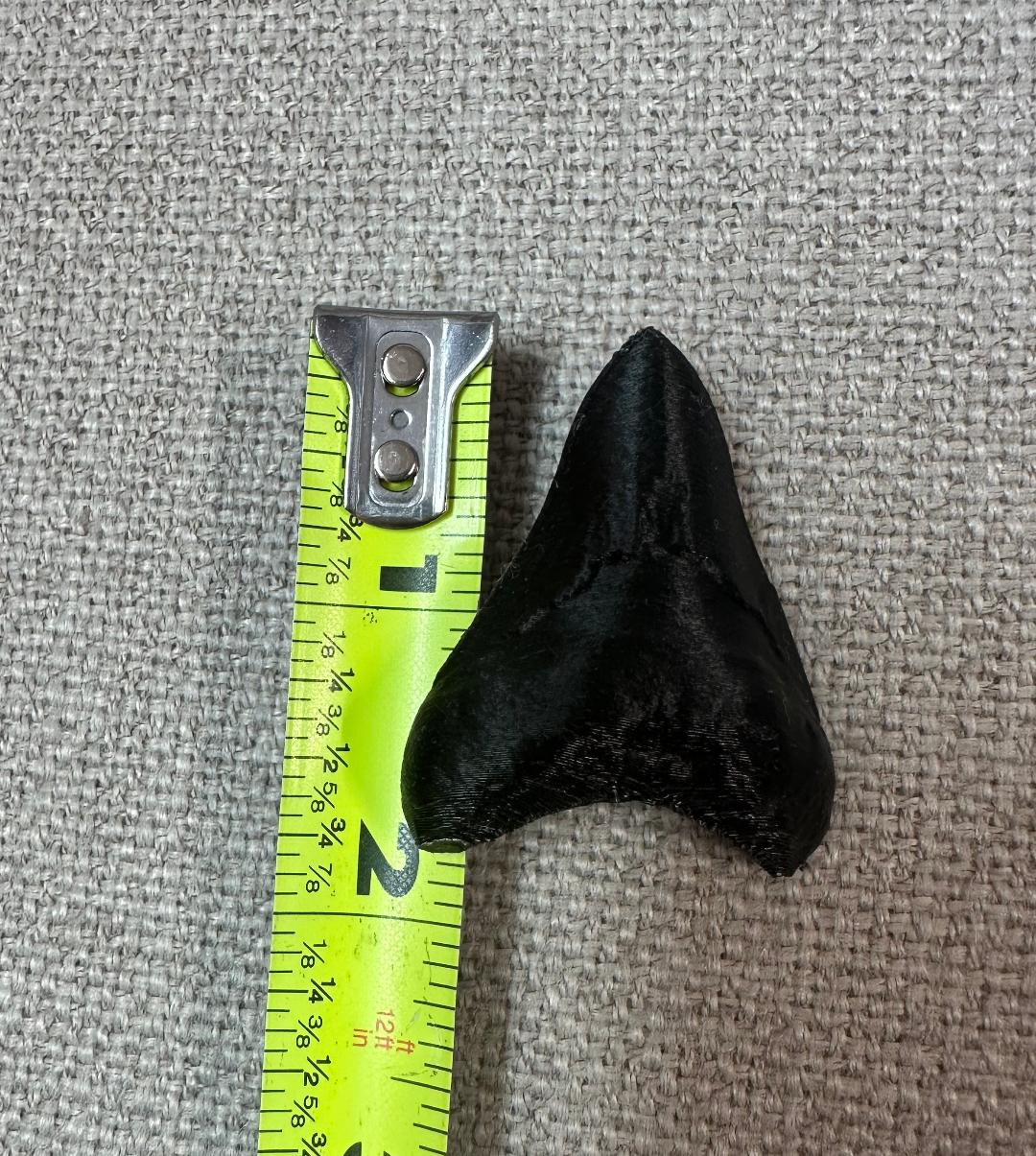 3D Printed Shark Teeth and Sark Fin Jibbitz