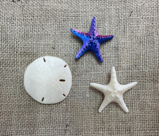 3D Printed Starfish & Sand Dollars