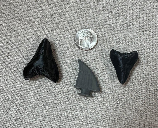 3D Printed Shark Teeth and Sark Fin Jibbitz